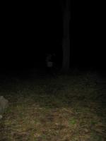 Chicago Ghost Hunters Group investigates Bachelors Grove (73).JPG